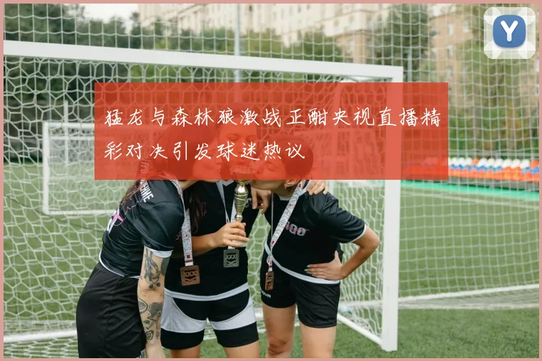 猛龙与森林狼激战正酣央视直播精彩对决引发球迷热议