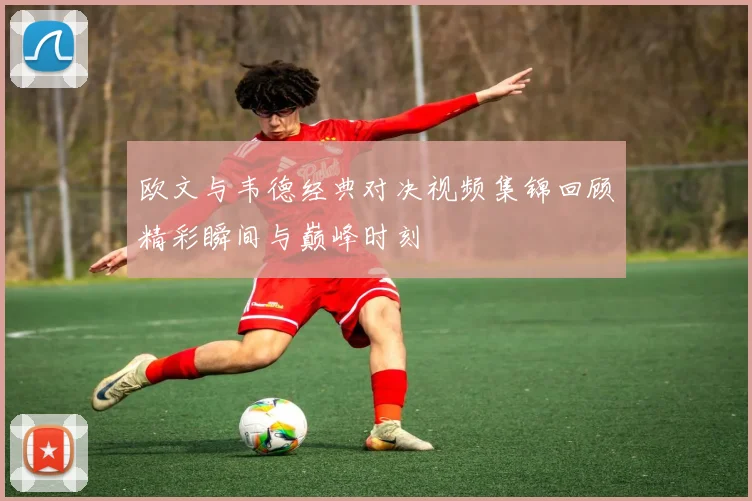 欧文与韦德经典对决视频集锦回顾精彩瞬间与巅峰时刻