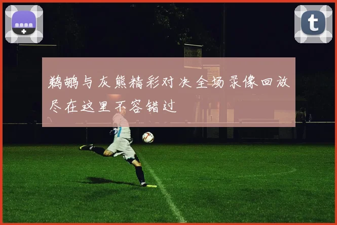 鹈鹕与灰熊精彩对决全场录像回放尽在这里不容错过